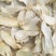 产地园区直供杏鲍菇大中小干片颜色好煲汤佳品