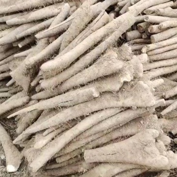 山东白玉山药，大通货，二货，板子，咕噜，长条，小条，