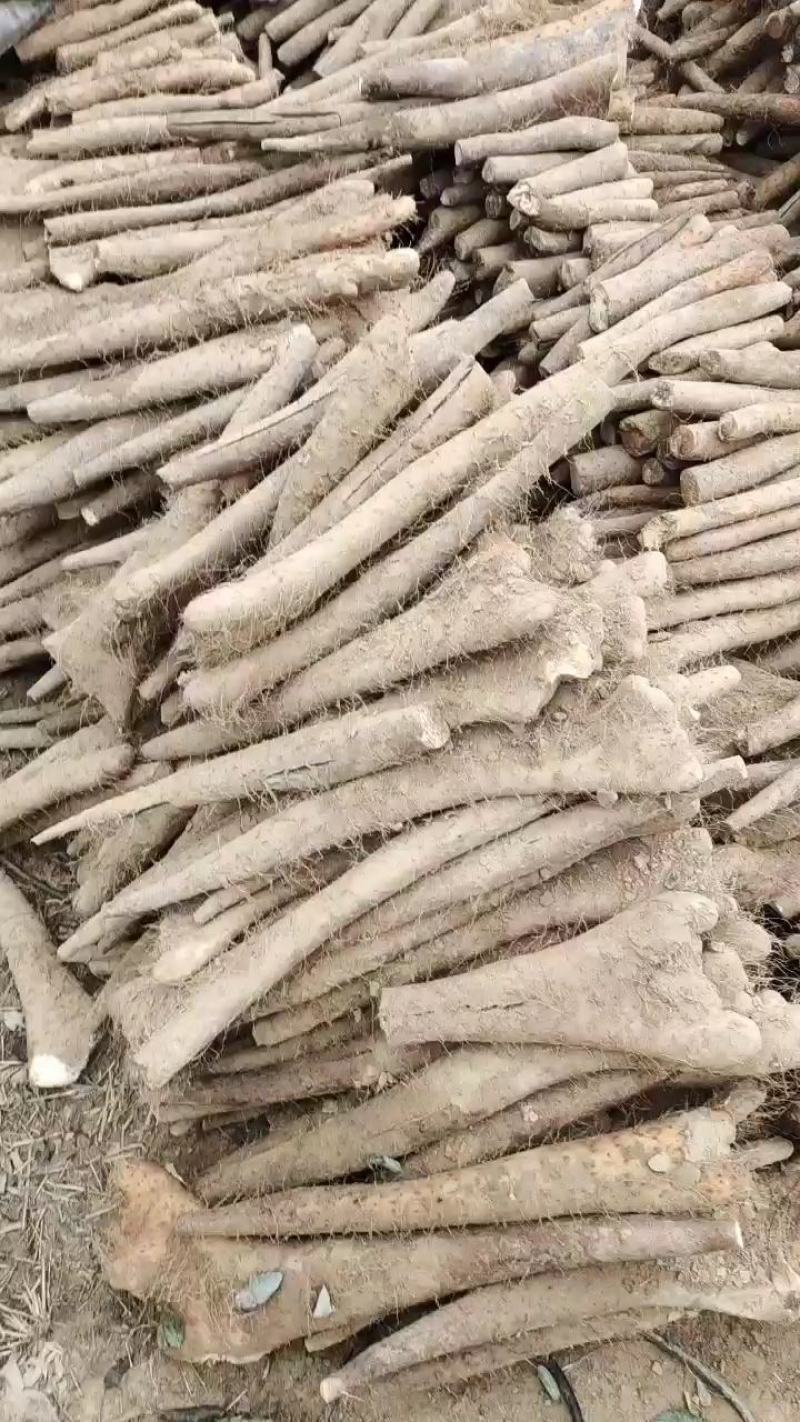 山东白玉山药，大通货，二货，板子，咕噜，长条，小条，