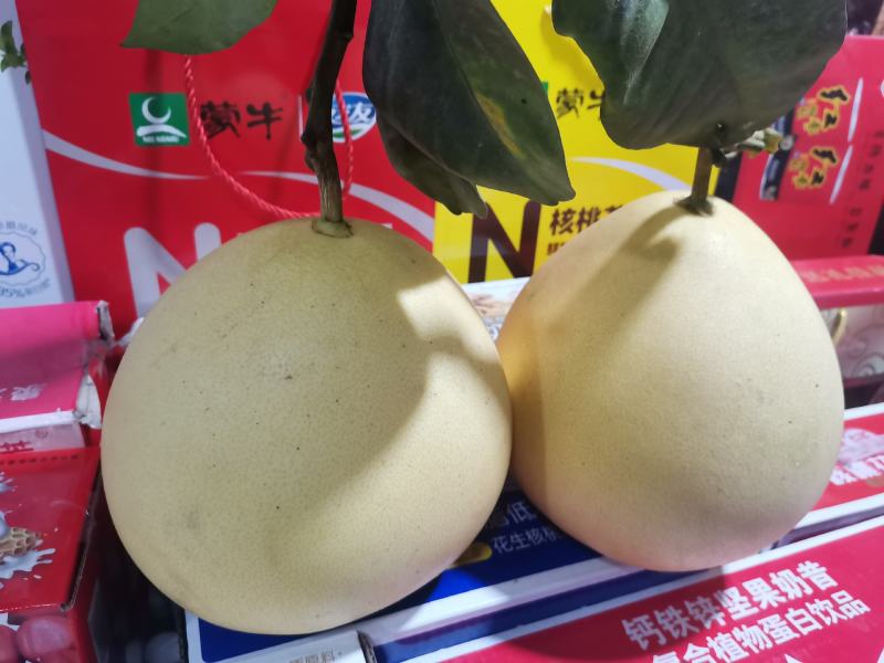 皮薄汁甜度高！大量有现货！！！！！！！！！！！！！！！！