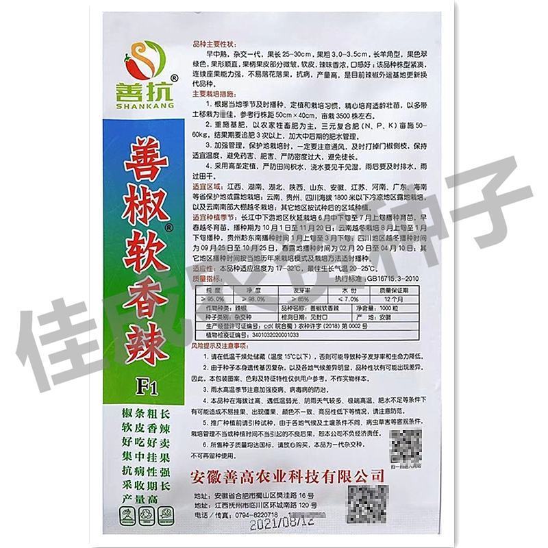 善椒软香辣软皮辣椒种子