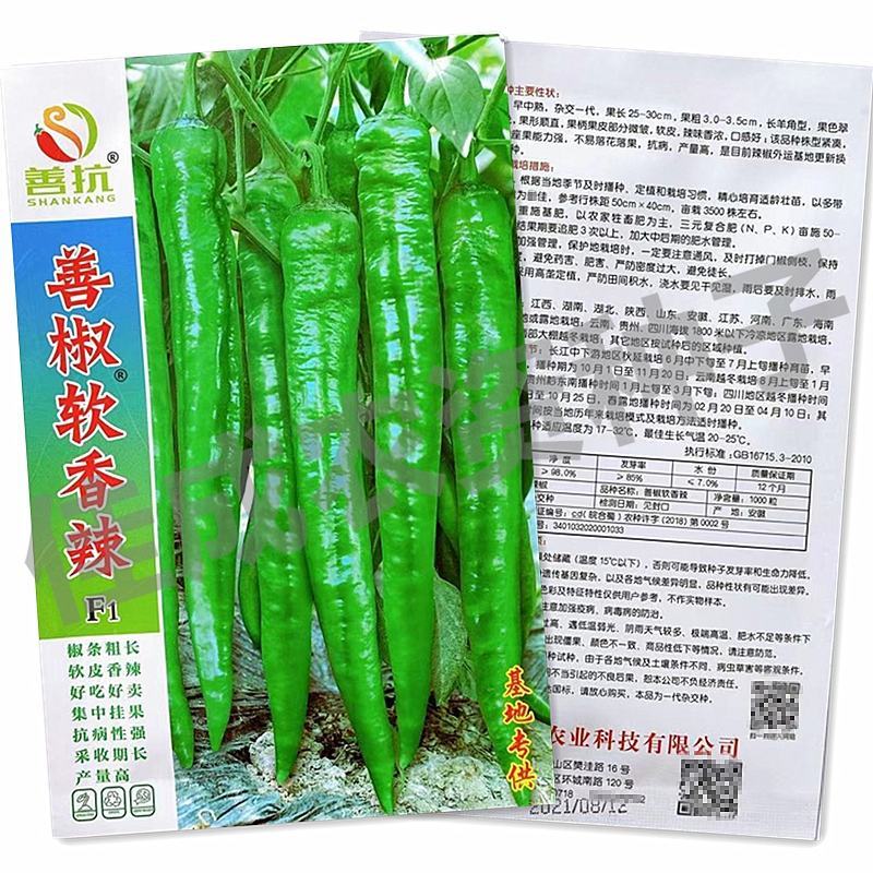善椒软香辣软皮辣椒种子