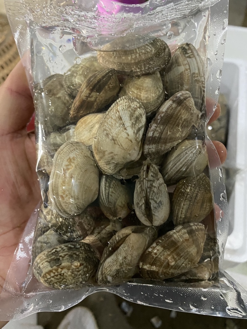 花蛤，水袋包装，无沙花蛤，净化花蛤，全新包装。