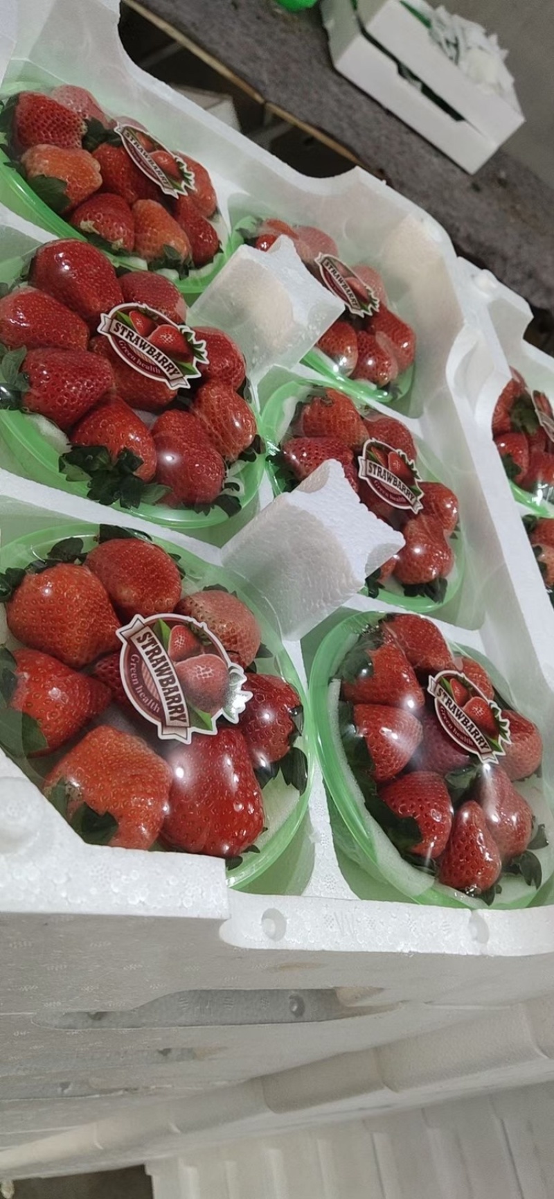 妙香草莓江苏草莓现摘现发品质保障对接微商电商