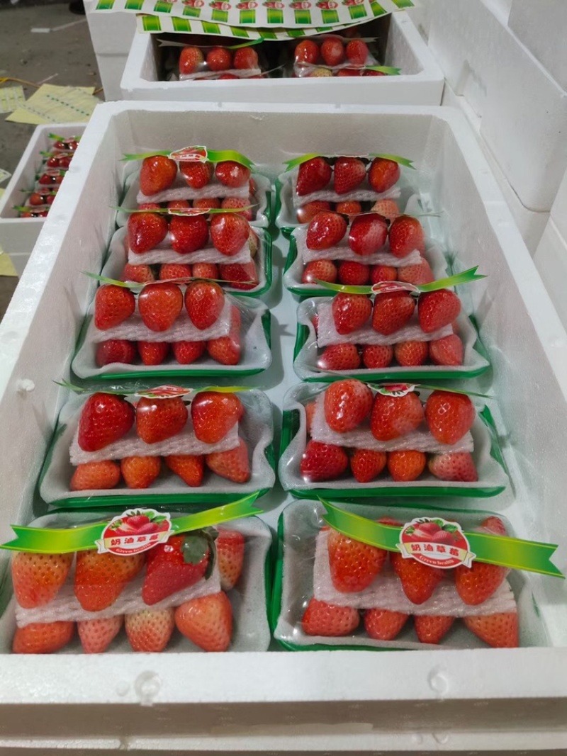 妙香草莓江苏草莓现摘现发品质保障对接微商电商