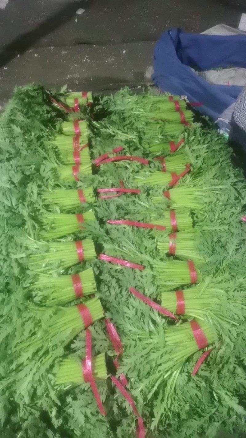 精品茼蒿.产地直发丶代发车一条龙服务。质量有保证。