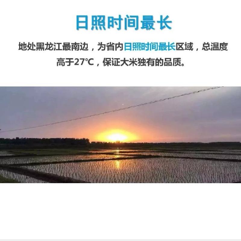 23年新水稻五常原产地直供鲜米机专用原粮稻花香2号稻谷