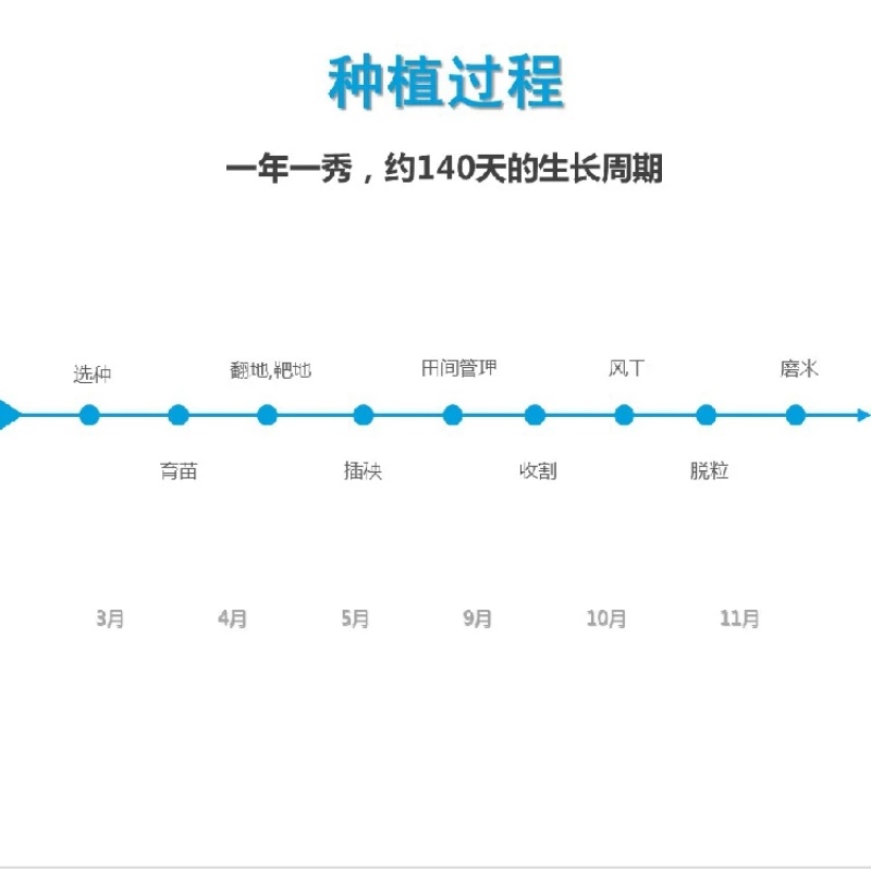 23年新水稻五常原产地直供鲜米机专用原粮稻花香2号稻谷