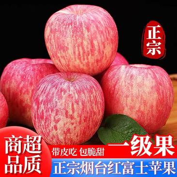 【热卖】优质红富士苹果现摘产地直销，货源充足