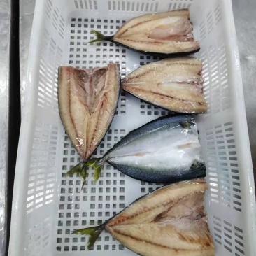 巴鱼片