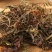 甘松中药材正品甘松根香料香松干松可磨甘松粉500g