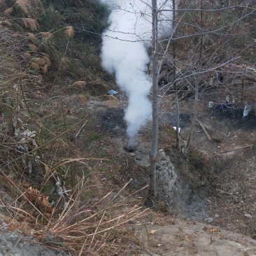 果木炭家用取暖烧烤专用木碳无烟环保易燃耐烧一箱批发