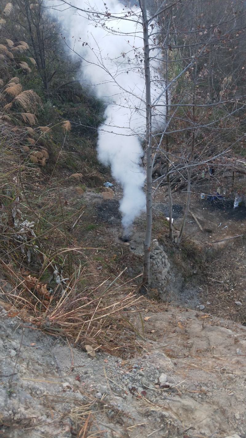 果木炭家用取暖烧烤专用木碳无烟环保易燃耐烧一箱批发