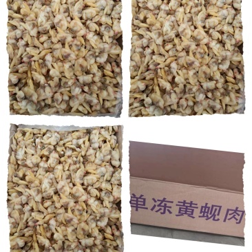 单冻干冰颗粒去沙蚬子肉