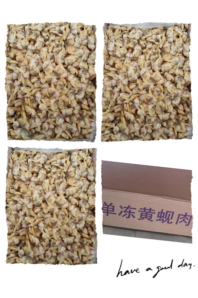 单冻干冰颗粒去沙蚬子肉