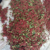 陕西省韩城市芝阳镇贺龙村小时农家种植的大红袍花椒麻味纯正