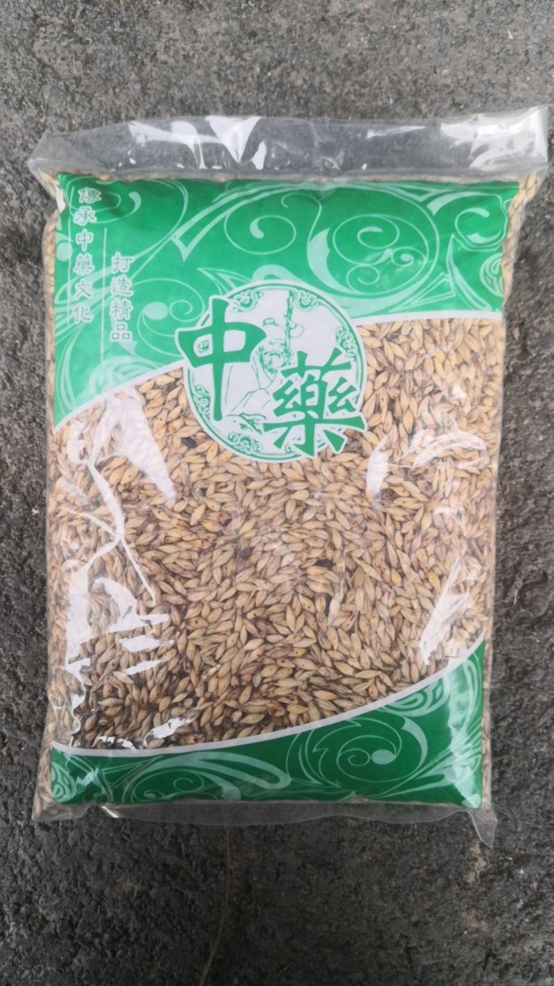 麦芽生麦芽炒麦芽焦麦芽焦三仙不满意可退换货