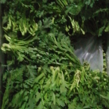 湖北同耗