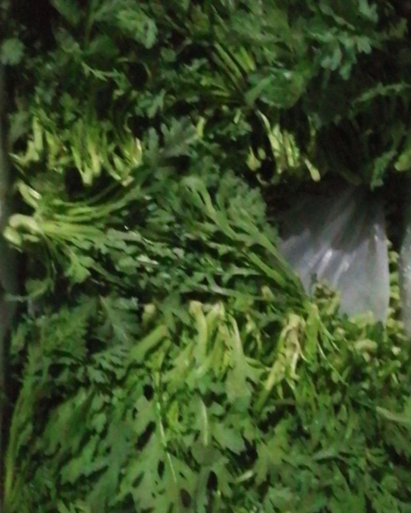 湖北同耗