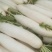 白萝卜个头大可以煮着吃煮羊肉必备品可以腌制货量充足