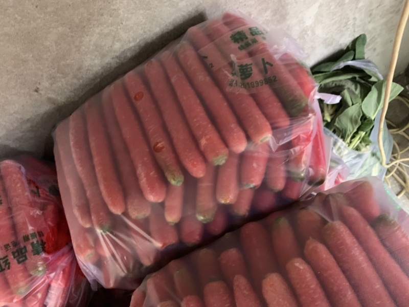 陕西水果红萝卜🥕大量上市，欢迎各位朋友前来选购！品质