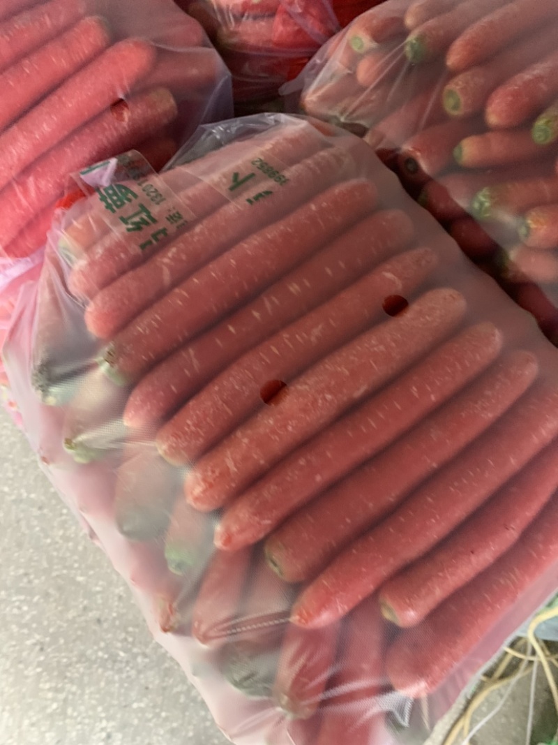 陕西水果红萝卜🥕大量上市，欢迎各位朋友前来选购！品质