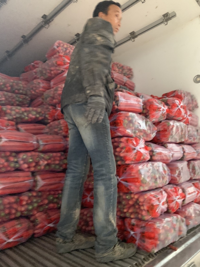 陕西水果红萝卜🥕大量上市，欢迎各位朋友前来选购！品质