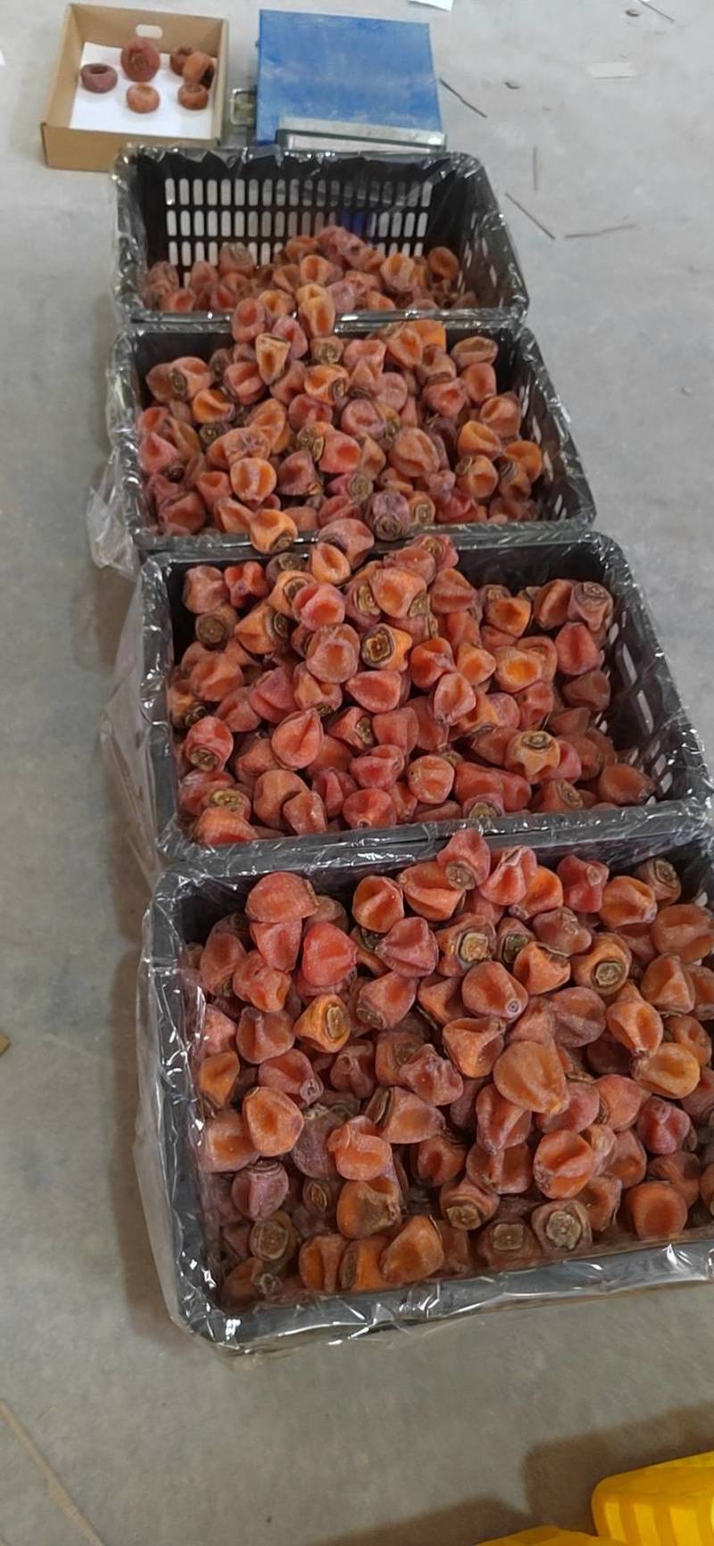广西桂林恭城康茂柿饼