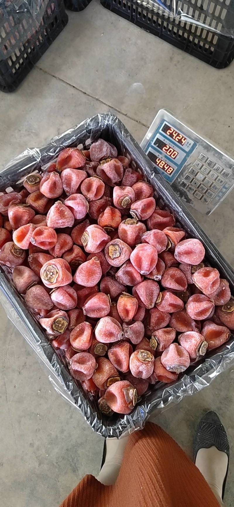 广西桂林恭城康茂柿饼