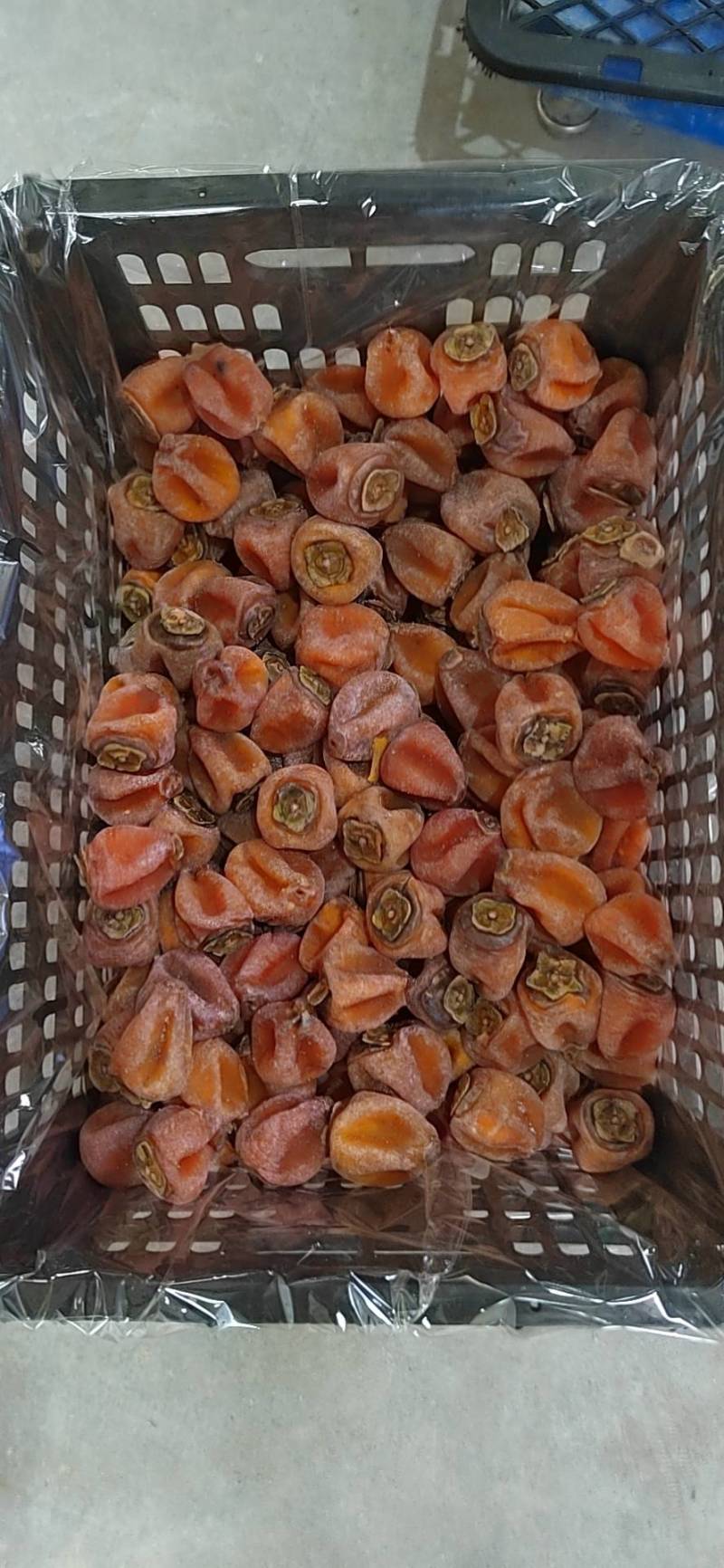 广西桂林恭城康茂柿饼