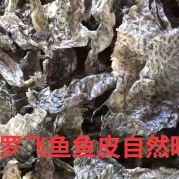 干罗飞鱼鱼皮自然晾晒物优价廉品质保证欢迎来询