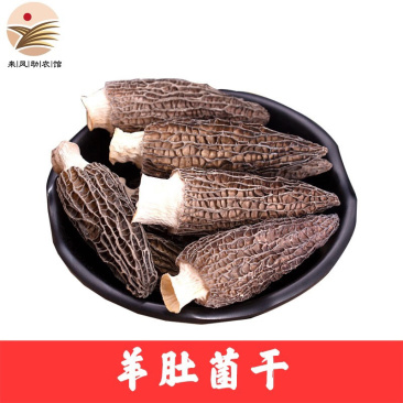 特产羊肚菌干