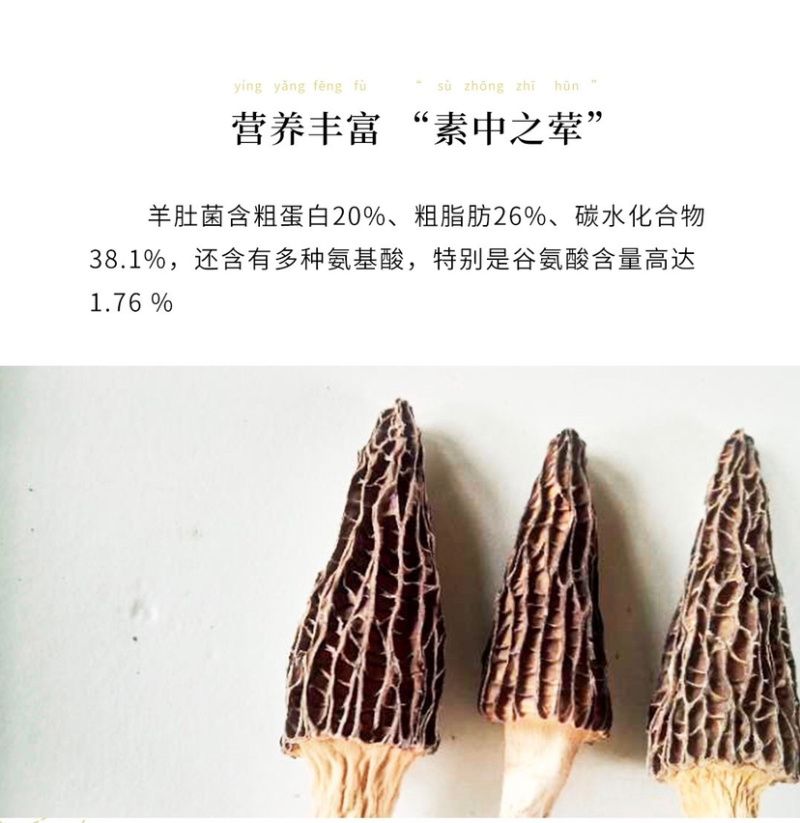 特产羊肚菌干