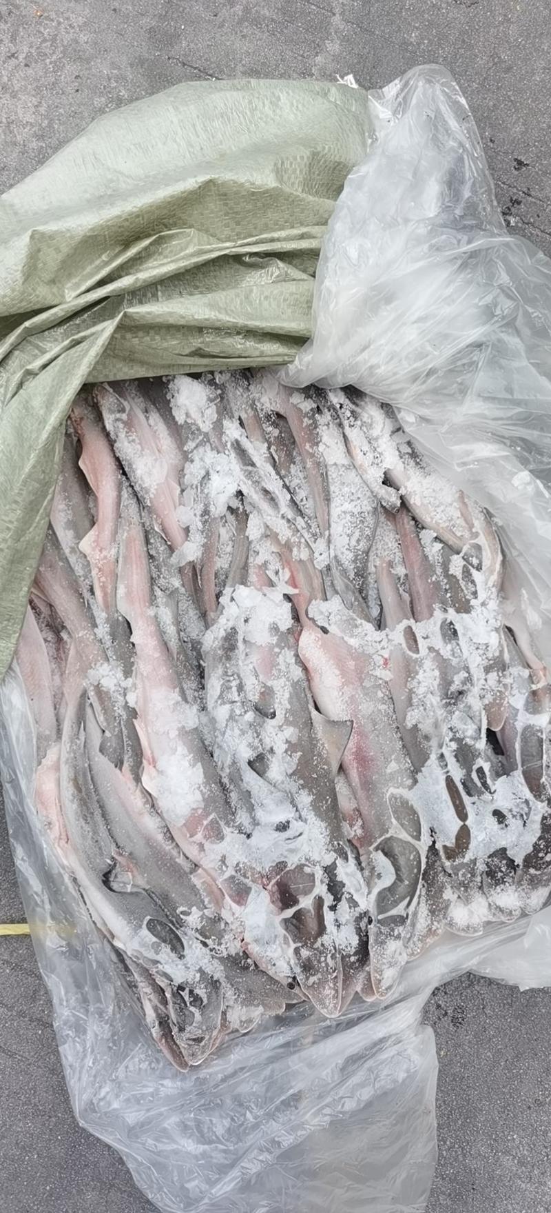 小鯊鱼冻品带头去脏一板十公斤，单条70-150克