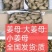 【推荐】姜母常年供应，产地直发，一手货源，保质保量