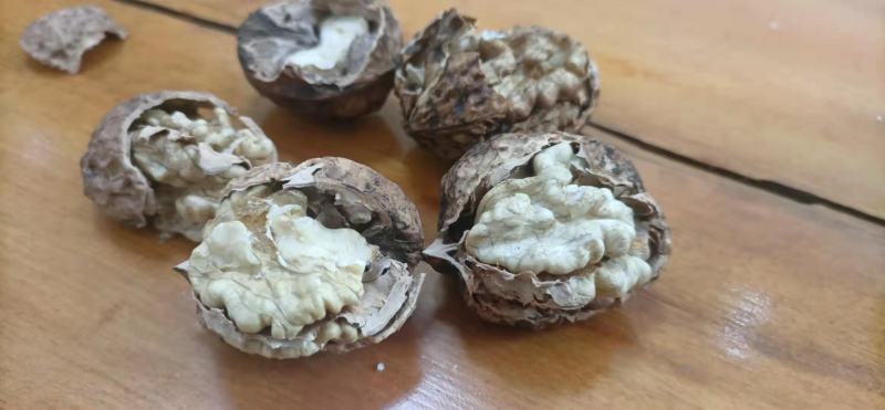 云南大麻子纸皮核桃，生的烤干的