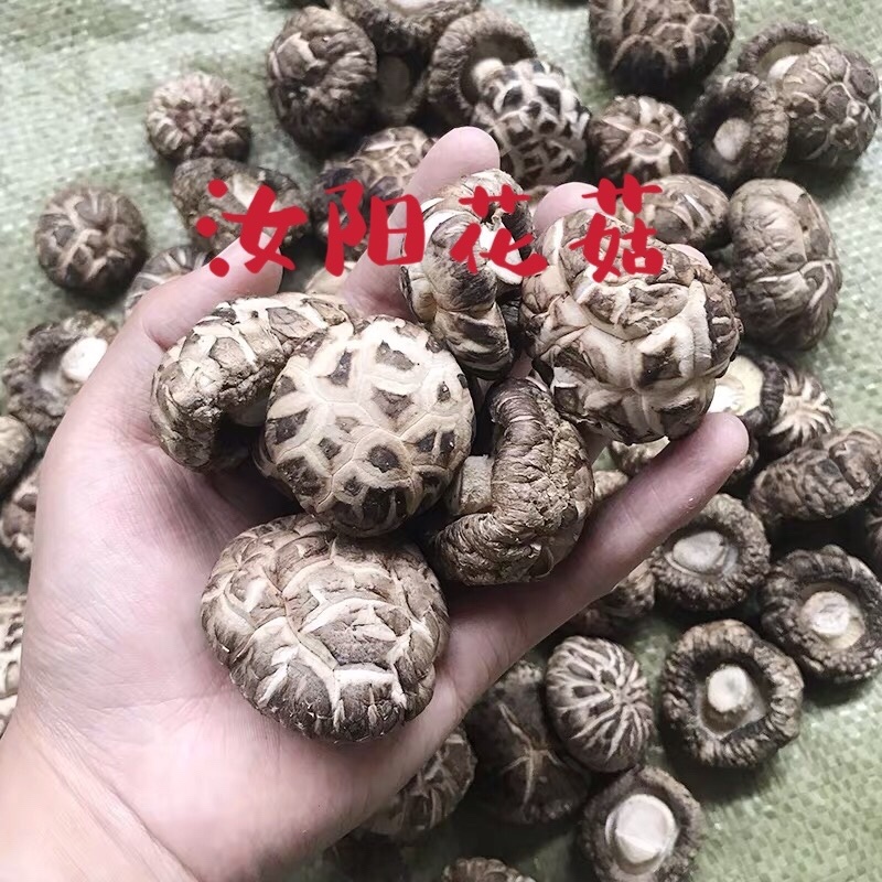 精选干花菇茶花菇红花菇大小型号齐全，