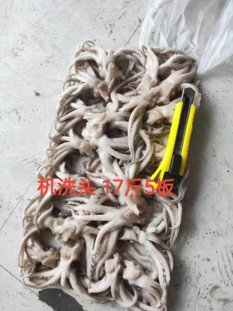 机洗鱿鱼头