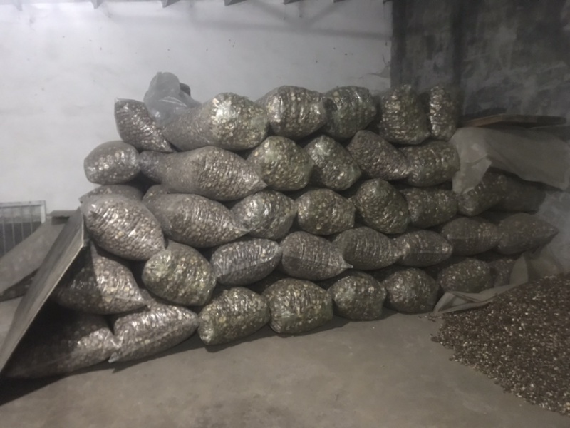 【推荐】河南精选干香菇通货肉厚剪脚食品厂电商专用一手货源