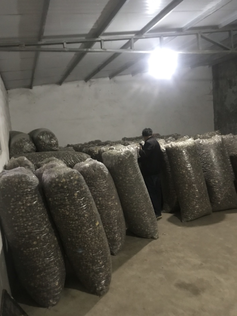 【推荐】河南精选干香菇通货肉厚剪脚食品厂电商专用一手货源