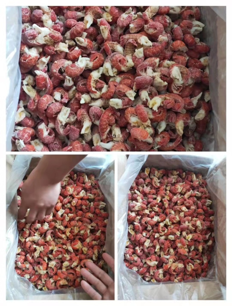 精选干冰虾尾龙虾尾