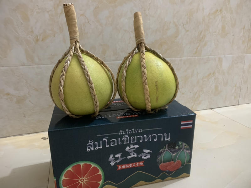 泰国母本精品嫁接供种植技术指导红宝石青柚苗