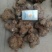 大量收购鲜白术500吨欢迎种植户前来洽谈