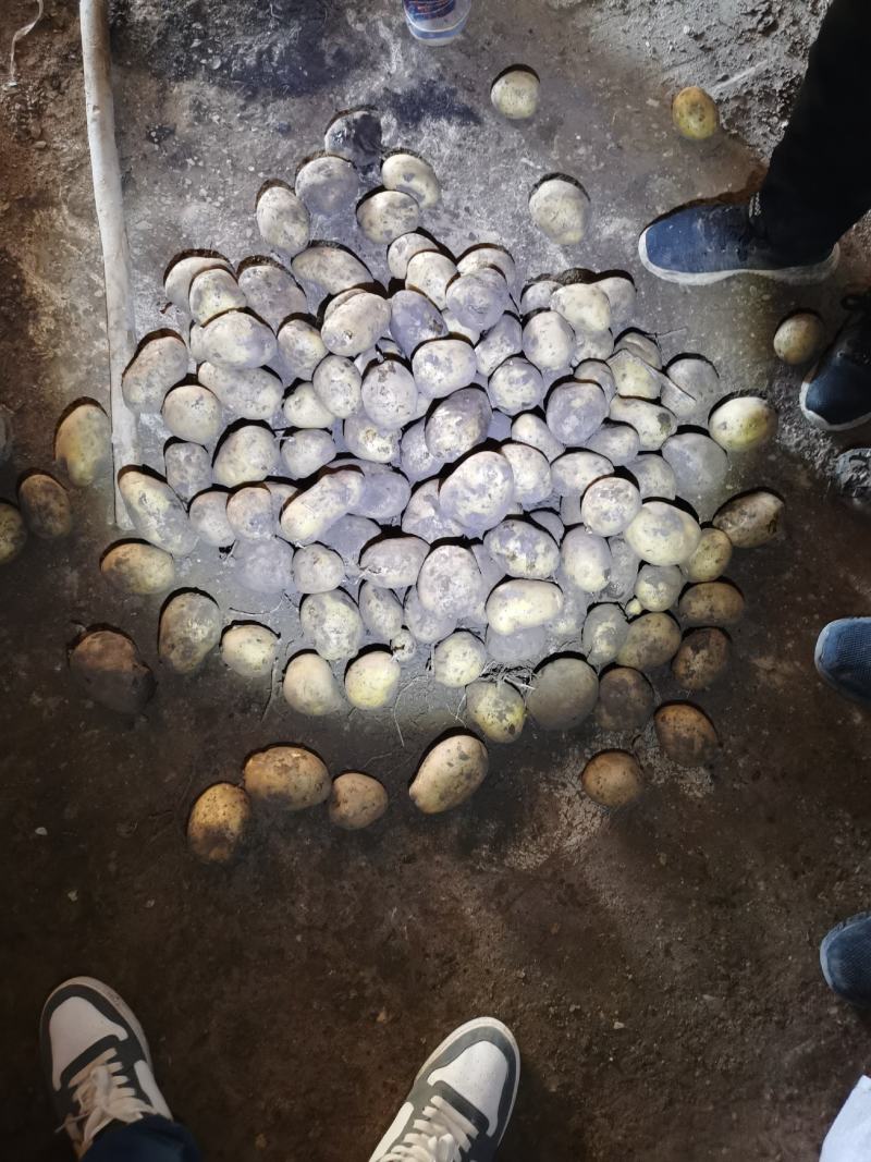黄皮黄心，个头大，薯型好，颜色好，希森六号土豆