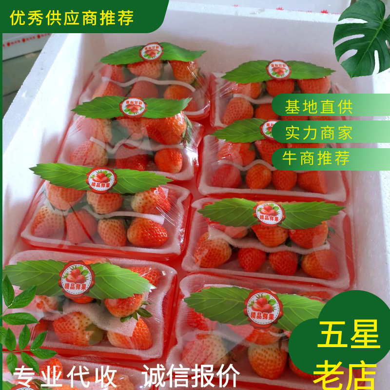 徐州草莓宁玉草莓，妙香草莓代收草莓电商美团供应