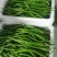 阜南县蔬菜大棚大量上市欢迎各位定购