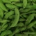 阜南县大棚蔬菜大量上市