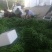 阜南县大棚蔬菜大量上市