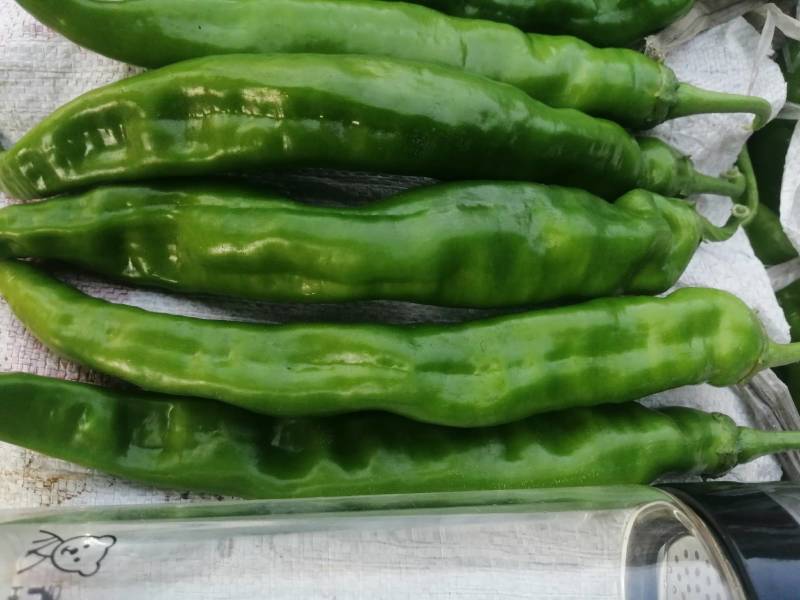 阜南县大棚蔬菜大量上市，欢迎各位老板定购