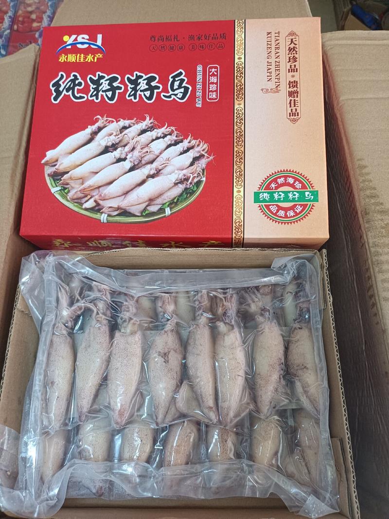 籽乌海兔笔管鱼冷冻水产品墨斗鱼，全国发货。